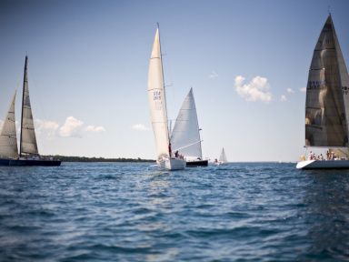 Paris 2024 : histoire, athlètes, pratique... tout savoir sur la voile aux Jeux Olympiques