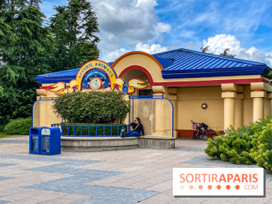 Le saviez-vous ? À Disneyland Paris, vous pouvez faire garder votre chat ou votre chien !