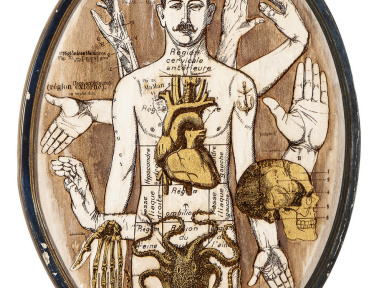 Anatonirisme : l'exposition gratuite entre art et science à la galerie La Lison