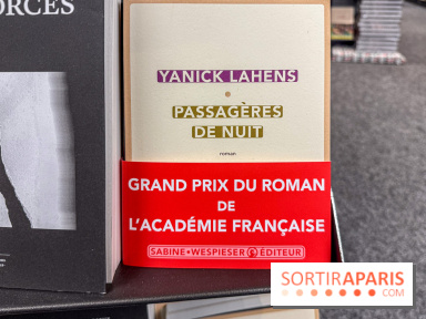 Grand Prix du roman de l’Académie française 2025 : Yanick Lahens récompensée pour Passagères de nuit