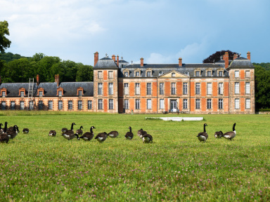 Exposition de Lélia Demoisy au Domaine de Chamarande : Récits de Forêts