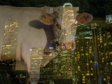 Exposition Laure Prouvost au Studio des Acacias