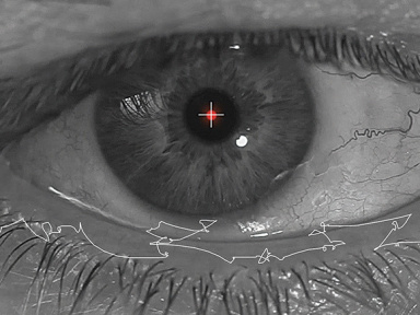 Exposition Michel Paysant à la galerie Lélia Mordoch Second Espace