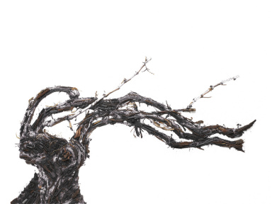 Shared Roots, l'exposition de Vik Muniz au Palais Brongniart