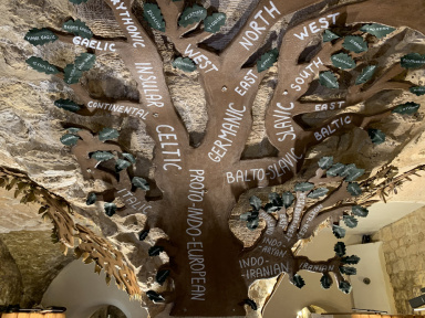 Mundolingua, le musée insolite des langues, du langage et de la linguistique rouvre ses portes