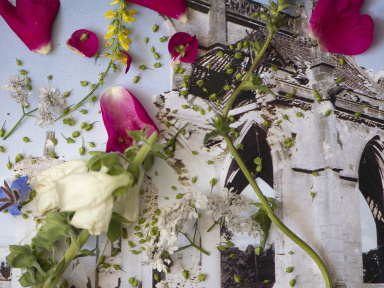 Exposition Laurence Aëgerter au Petit Palais