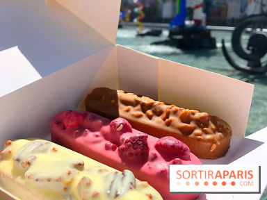 Les glaces 2017 de l'Eclair de Génie