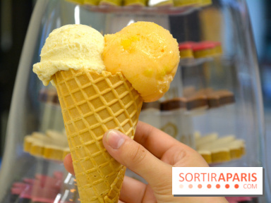 Les glaces chez Le Roy René