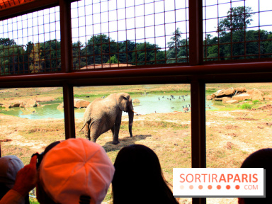 Camion Safari : une visite guidée dans les coulisses de Thoiry