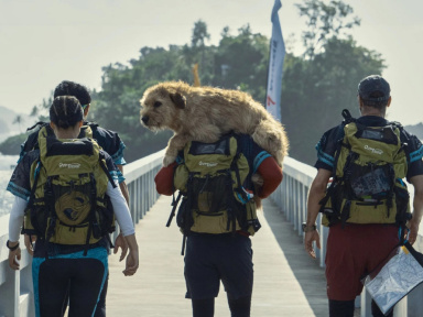 Arthur the King, une aventure entre Mark Wahlberg et son fidèle compagnon à pattes sur Prime Video