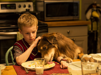 L'extravagant voyage du jeune et prodigieux T.S. Spivet sur Prime Video