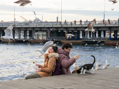 Encyclopédie d'Istanbul : drame turc entre générations et secrets