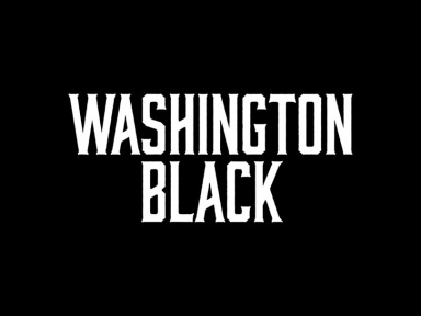Washington Black : une mini-série historique ambitieuse sur Disney+