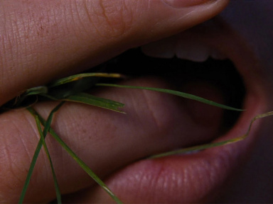 Hurlevent : Margot Robbie et Jacob Elordi au cinéma en 2026