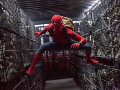 Spider-Man: Homecoming : Tom Holland