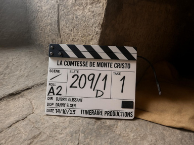 La Comtesse de Monte-Cristo : Audrey Fleurot dans la nouvelle mini-série inspirée de Dumas