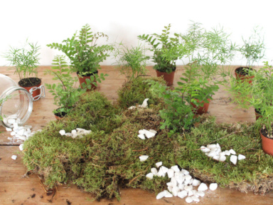 Le mercredi tout est permis à Bercy Village