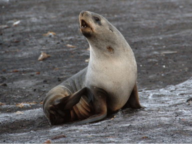 Les vacances de février 2019 au Parc Zoologique de Paris Vincennes