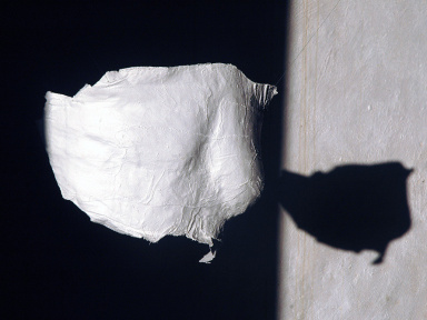 Massimiliano Pugliese, Sebastiaan Franco et Derrick Tracy à la Galerie du Hérisson