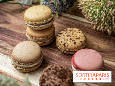 Pierre Hermé Macaron