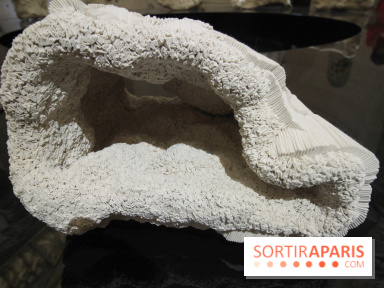 Un monde de plis à la chapelle Expiatoire