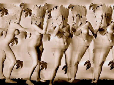 Exposition François Delebecque