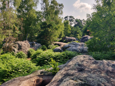 Déconfinement : les randonnées campagnes et forêts à découvrir autour de Paris 