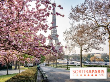 Covid : les indicateurs de l'épidémie baissent toujours en France