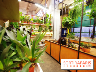 Ground Control ouvre les portes de la Halle Charolais à Paris