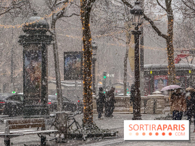 La Neige à Paris - IMG 2833