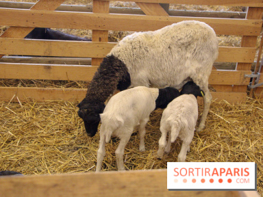 Salon de l'agriculture 2018