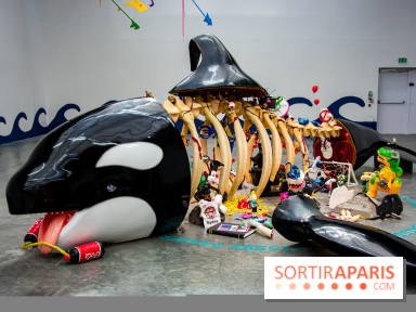 Base de données LaurentP