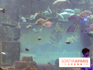 Les 60 ans de LEGO® à l'Aquarium de Paris