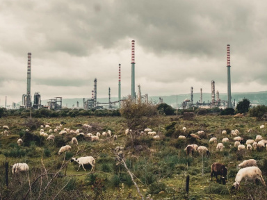 Toxicily de François-Xavier Destors : Notre avis et la bande-annonce du documentaire