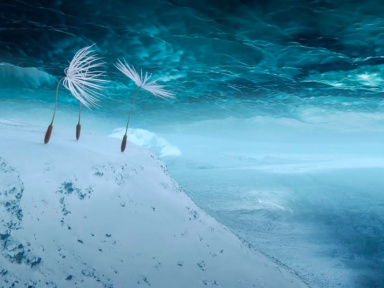 Planètes de Momoko Seto, film de clôture de la Semaine de la Critique 2025