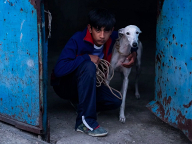 Ciudad Sin Sueño (Sleepless City) de Guillermo Galoe, en sélection à la Semaine de la Critique 2025