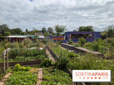 Terre Terre, la ferme-guinguette qui pousse au bord du canal à Aubervilliers (93)