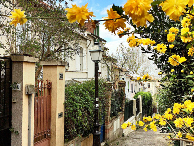 Promenade dans le quartier de la Mouzaïa