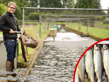 Fête de la Gastronomie 2018 à Méry-sur-Oise