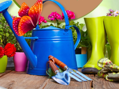 Festival Paroles de Plantes 2019 à La Ferté Gaucher