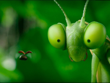 Découvrez les coulisses du film d'animation 'Minuscule' au MK2 Bibliothèque