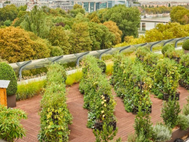 Une ferme potagère installée sur le toit de Parly 2 pour les visiteurs
