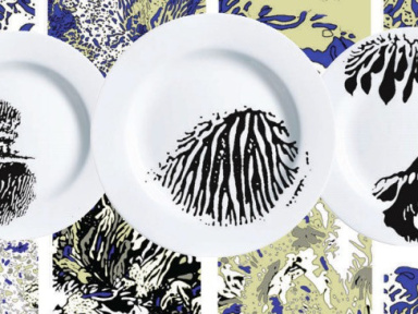 Exposition Savoir Faire Savoir à la Galerie des Galeries