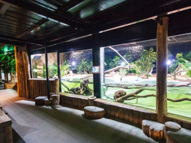 De nouveaux arrivants au vivarium du ZooSafari de Thoiry, entièrement réaménagé