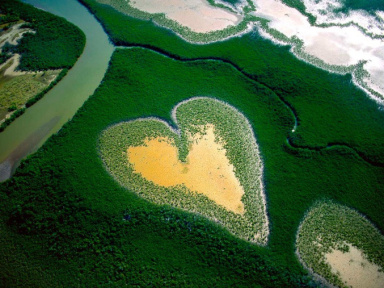 Rétrospective Yann Arthus-Bertrand sur le toit de la Grande Arche