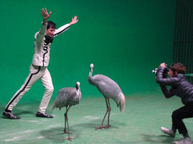 Rétrospective Confettis Atomiques de Marie Losier au Jeu de Paume