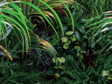 Yoga, cuisine et verdure à l'Appartement #MerciLesPlantes