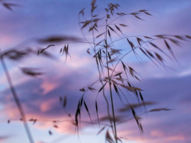 'Chemins, quel sera le vôtre ?', projection et conférence au cinéma Le Brady