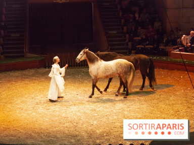 Nature, le spectacle équestre à Chantilly