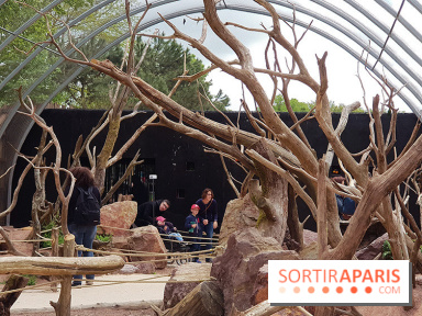 Zoo de Thoiry 2018 : les photos